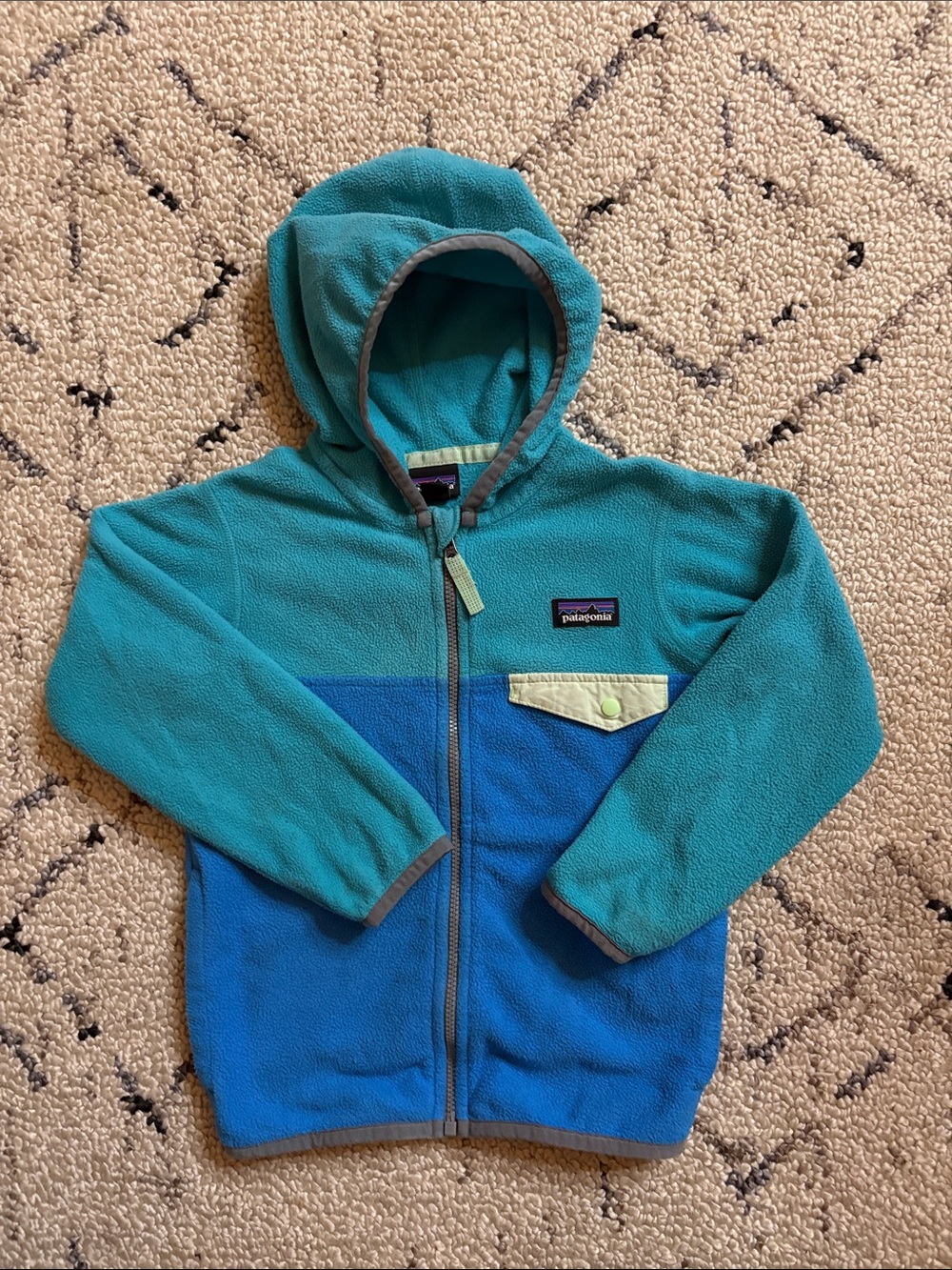 Patagonia Fleece jacket (4T)EUC